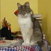 Отзыв от Ксения Анисимова